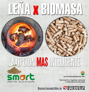Lena x biomasa, la opcion mas inteligente. El puente agropecuario.